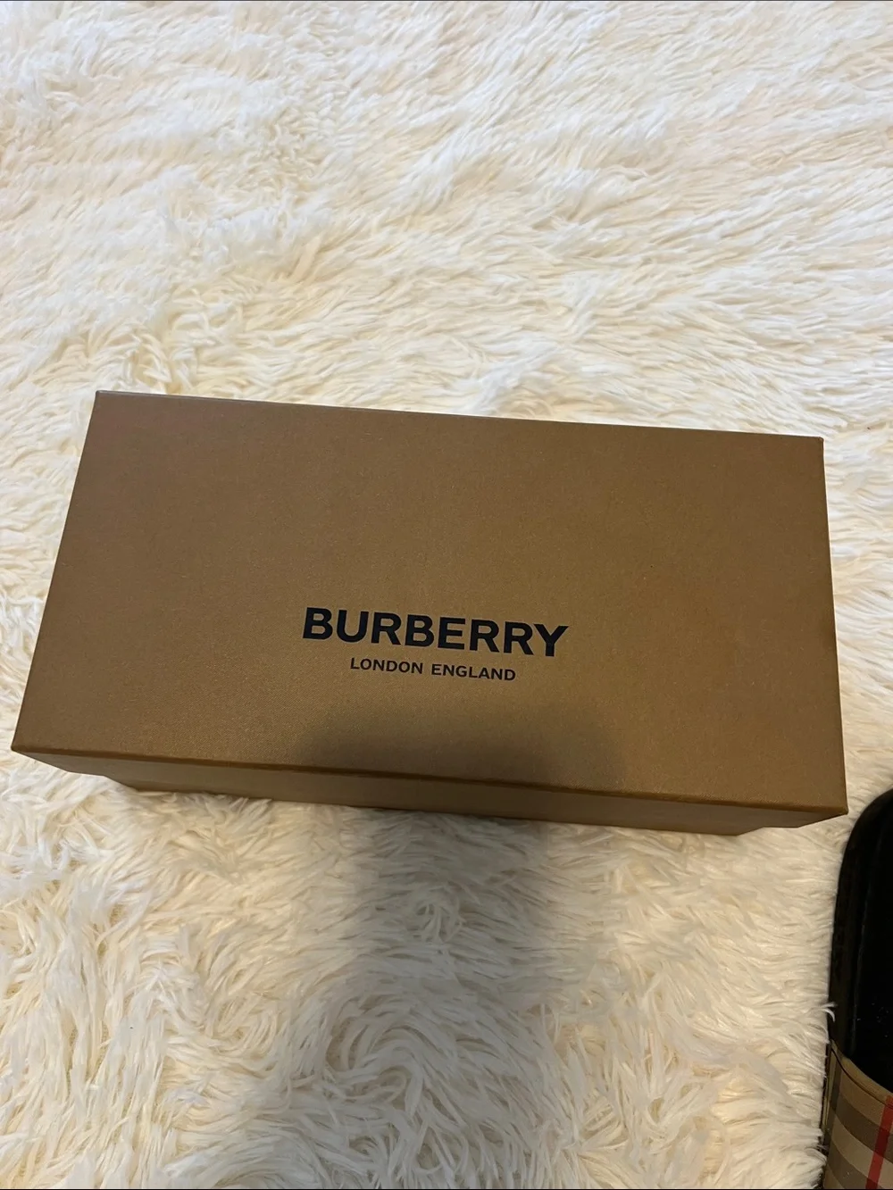 Burberry good kids sandals